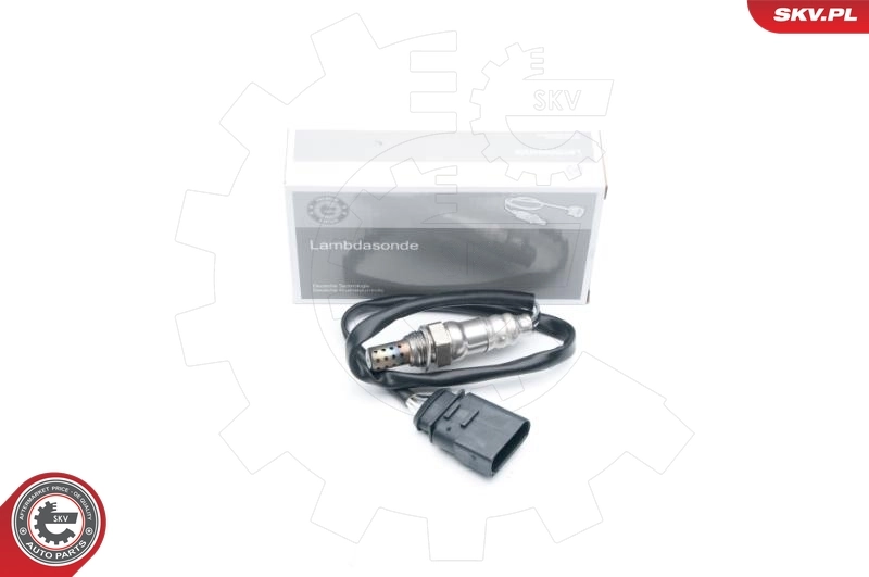 Oxygen Sensor